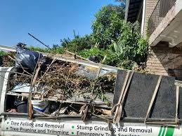 Best Dumpster Rental Services  in West Clarkston Highland, WA